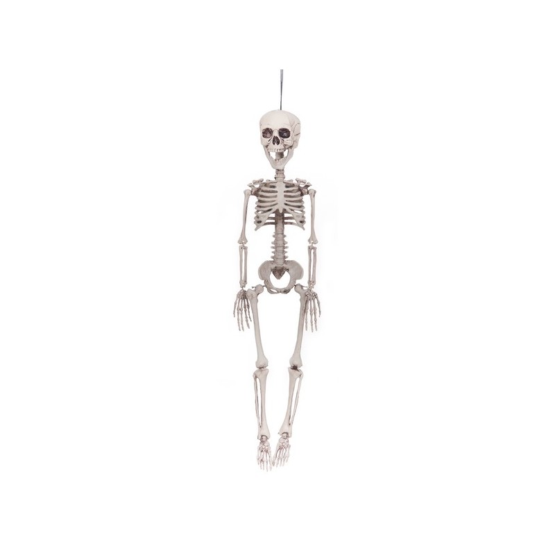 Esqueleto de 76cm