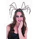 Spider de Diadema