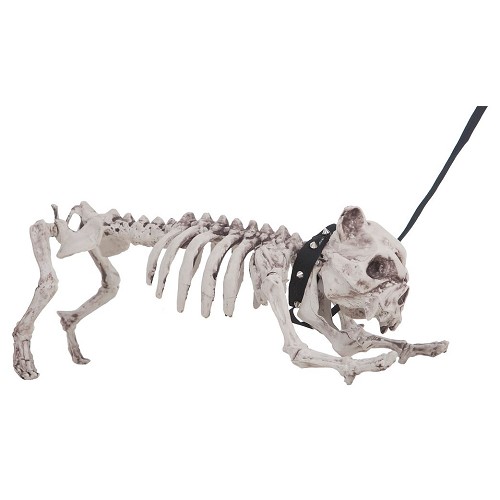 Esqueleto cão 60 cm