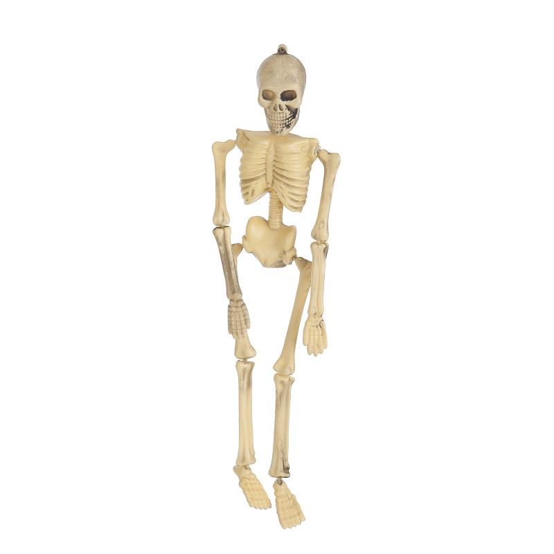 Skeleto