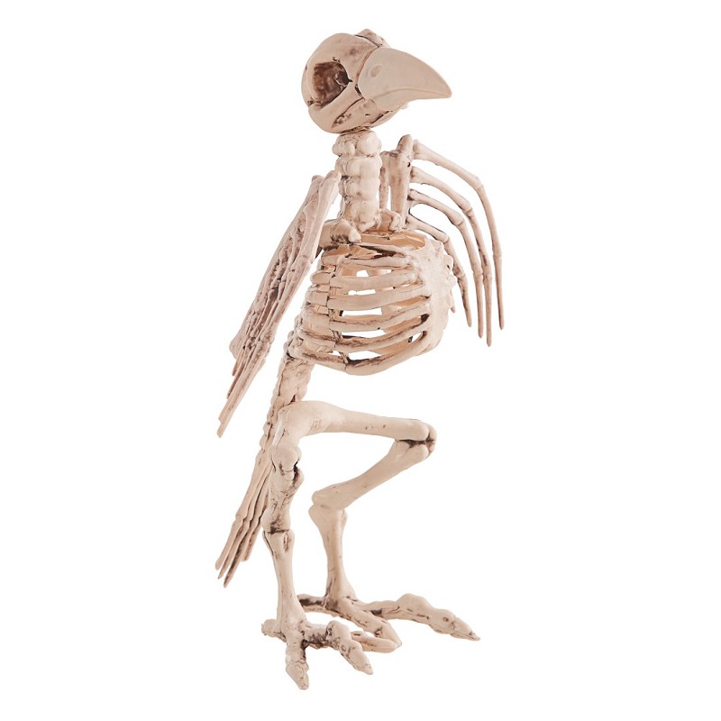 Esqueleto Ave 21 X 30 cm.