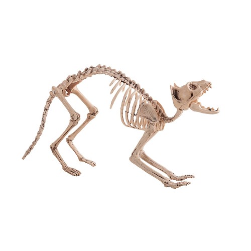Esqueleto Jack 60 X 25 cm.