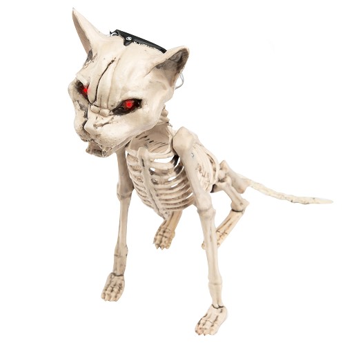 Esqueleto De Gato Con Luz